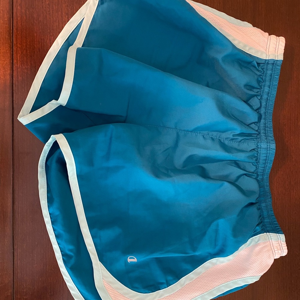 Champion Teal and White Sports Shorts